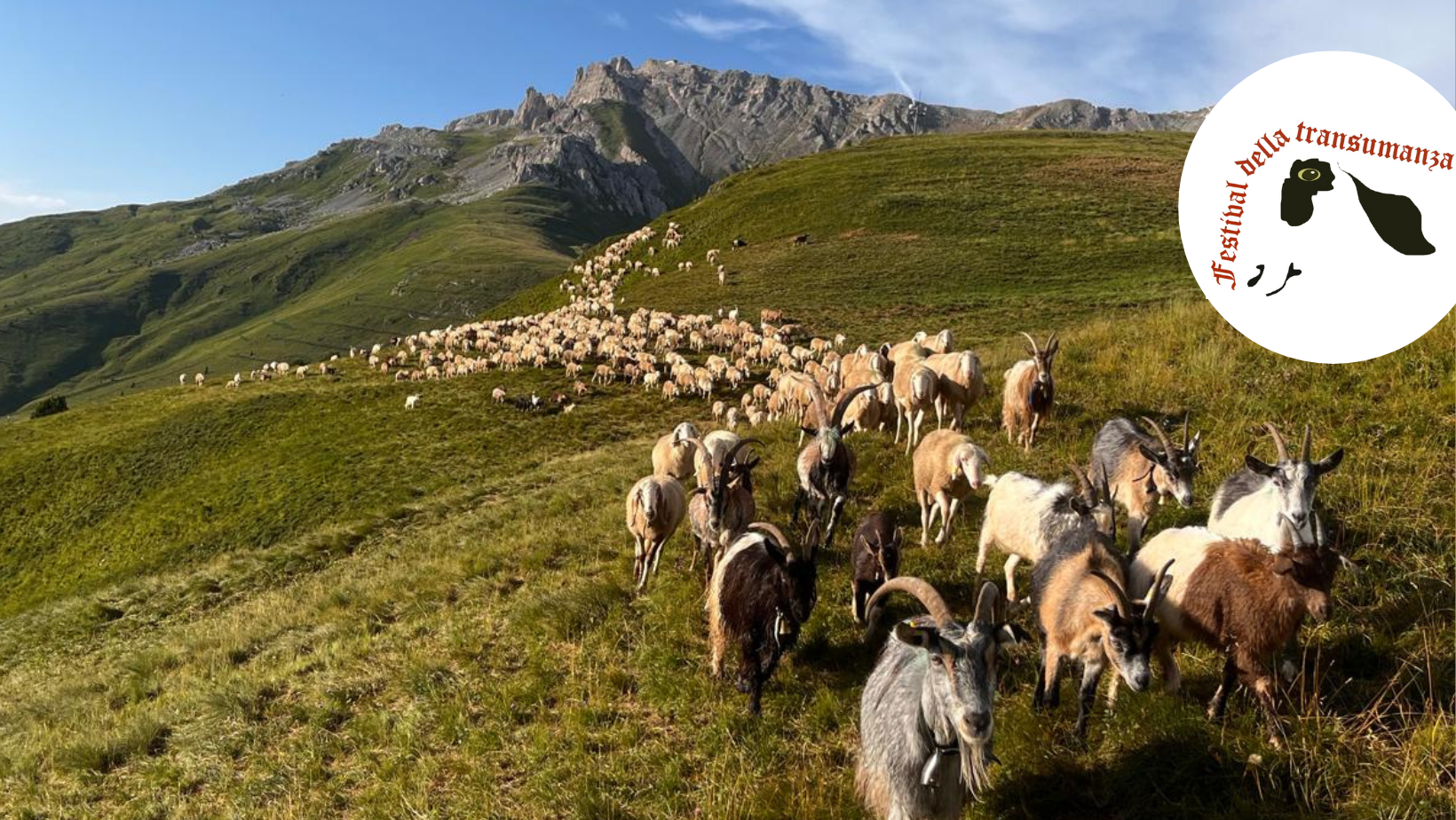 “In nome del pastore” – ciclo di conferenze Festival della Transumanza 2024