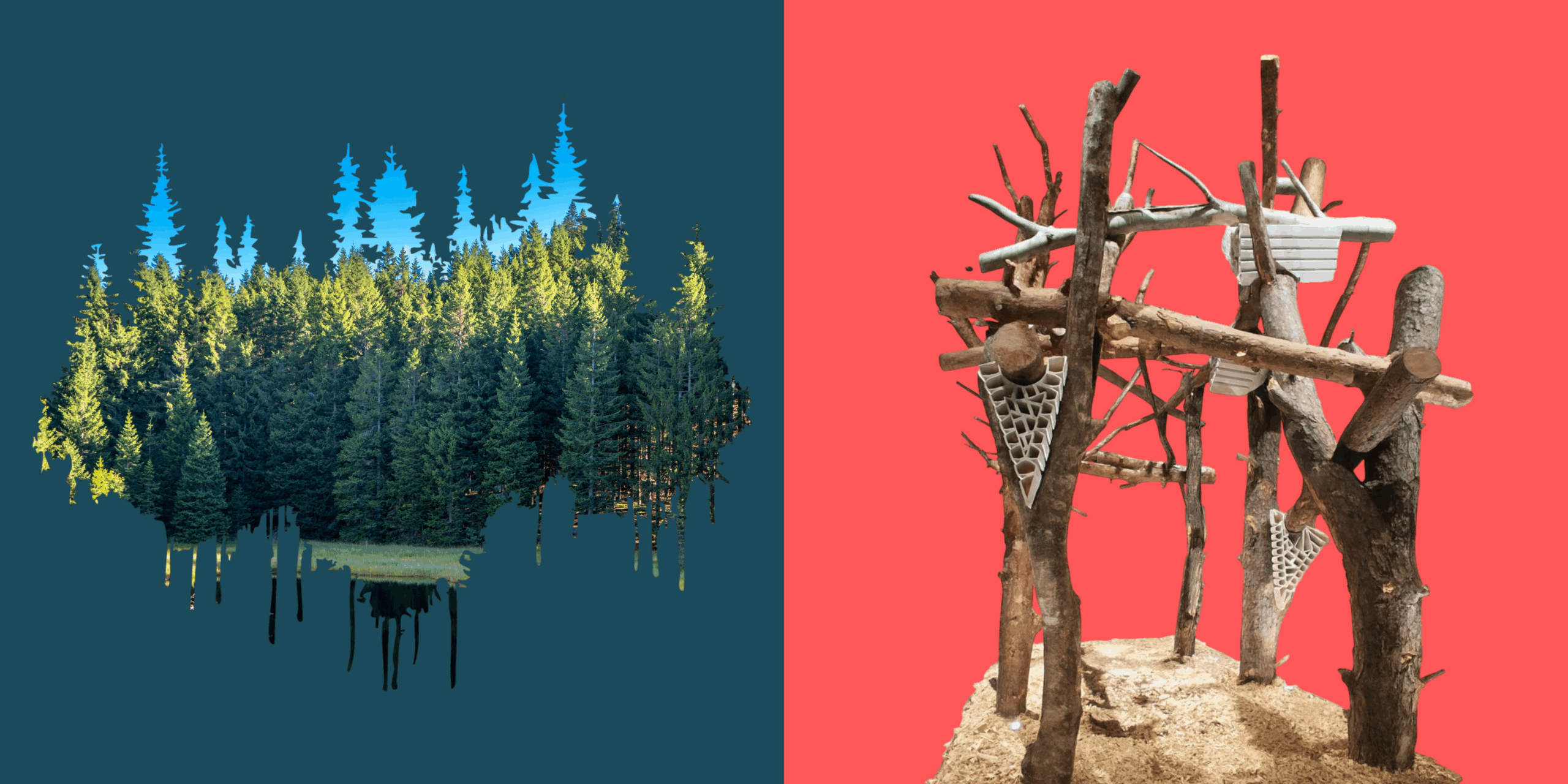 Inaugurazione mostre <br> “Il bosco e le piante nella crisi climatica attuale: il caso della Magnifica Comunità di Fiemme” e “Domino 3.0: Generated Living Structure. Dalla ferita alla forma”