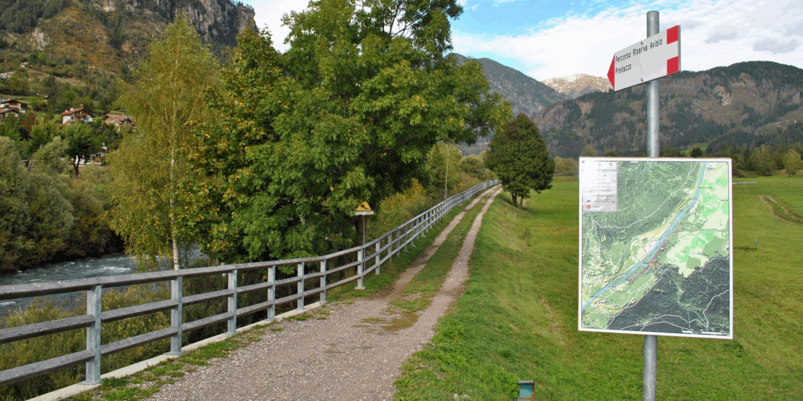 Floristi per passione: scopriamo la Riserva Locale di Ziano e Predazzo <br> Escursione