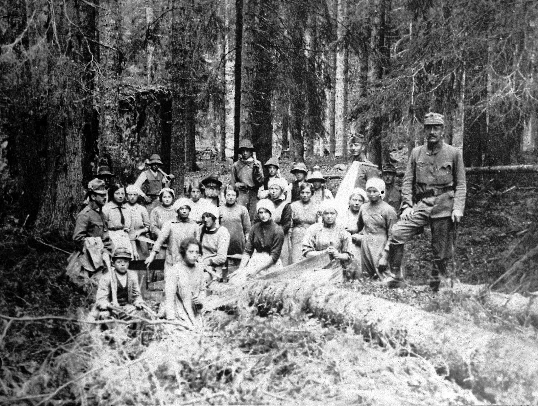 Fiemme e la Grande Guerra. <br> Una Comunità a sostegno dei deboli
